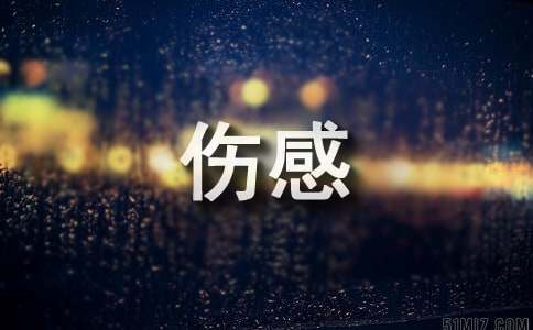 【推荐】2024年伤感个性句子集合55句